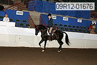 09r12-01676 proof