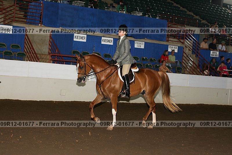Proof 09r12-01677