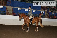 09r12-01677 proof