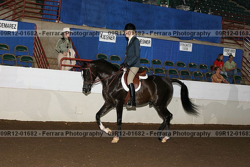 Proof 09r12-01682