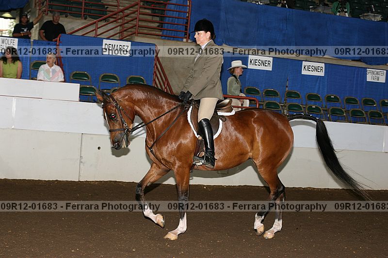 Proof 09r12-01683