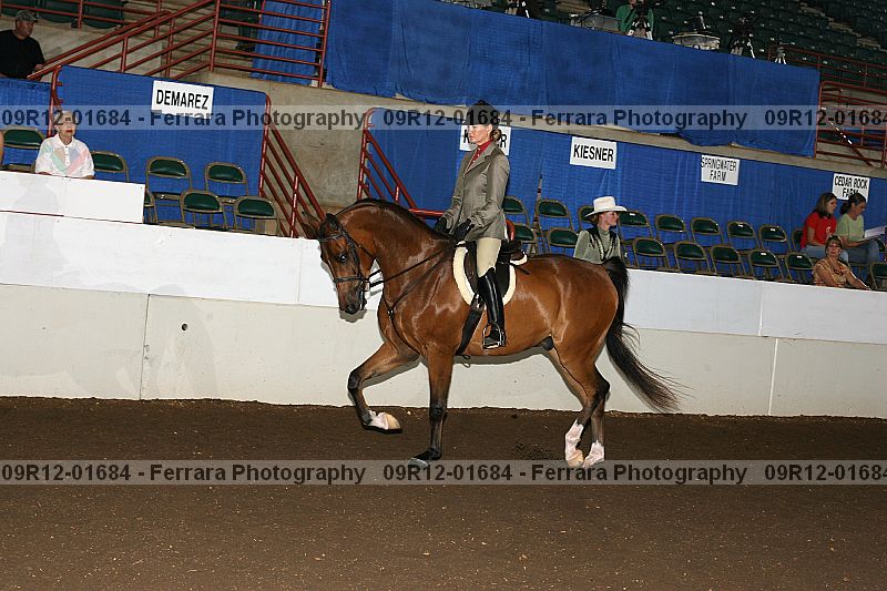 Proof 09r12-01684