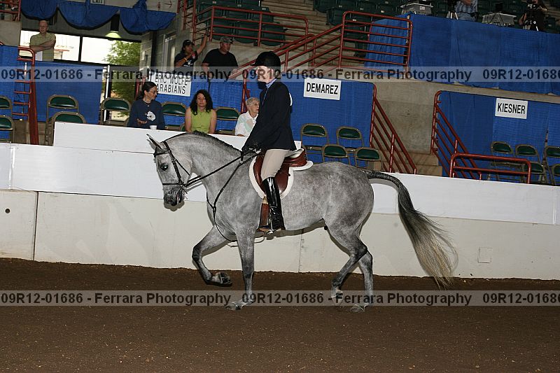 Proof 09r12-01686