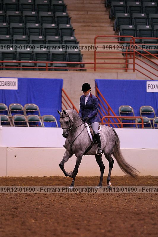 Proof 09r12-01690