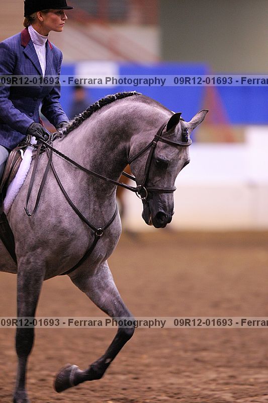 Proof 09r12-01693