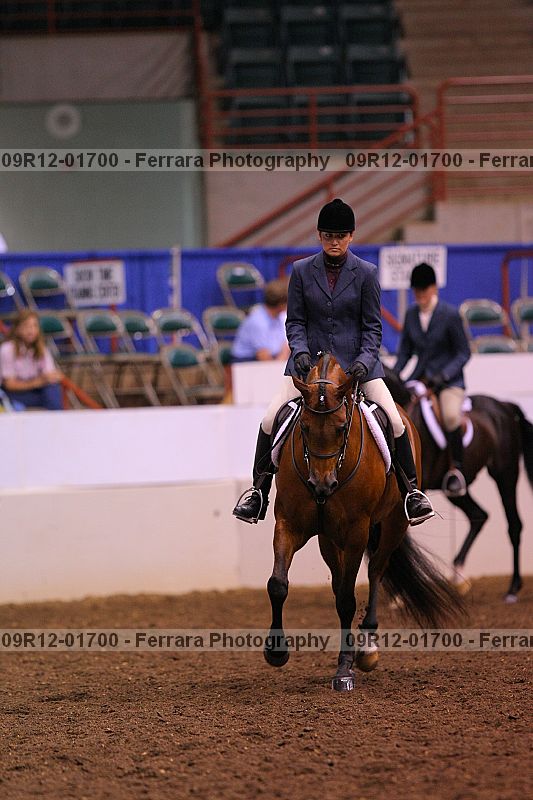 Proof 09r12-01700