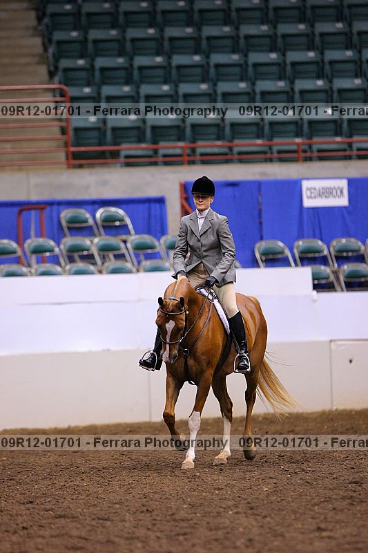 Proof 09r12-01701