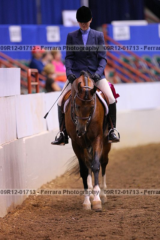 Proof 09r12-01713
