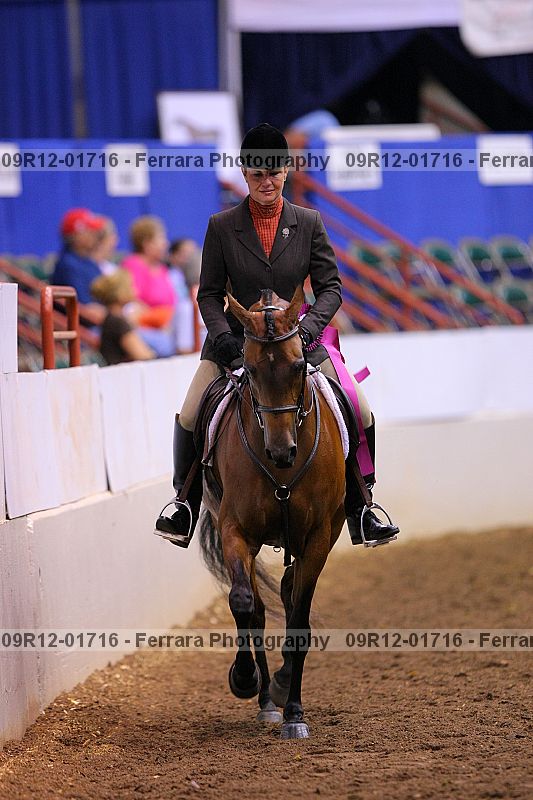 Proof 09r12-01716