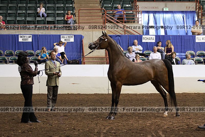 Proof 09r12-01982