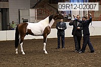 09r12-02007 proof