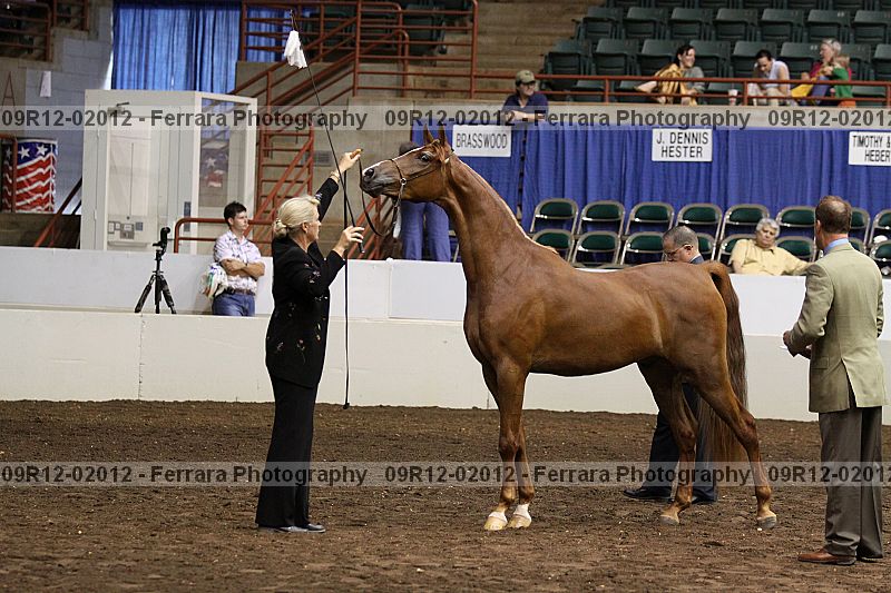 Proof 09r12-02012