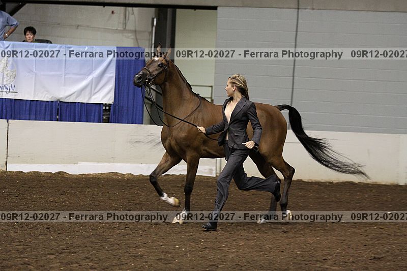 Proof 09r12-02027