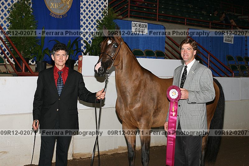 Proof 09r12-02071