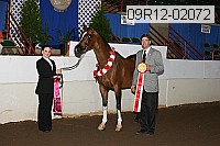 09r12-02072 proof