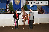 09r12-02093 proof