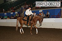 09r12-06232 proof