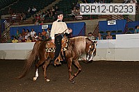 09r12-06233 proof