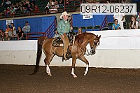 09r12-06237 proof