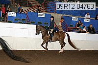 09r12-04763 proof