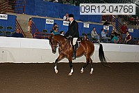 09r12-04768 proof