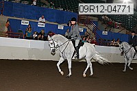 09r12-04771 proof