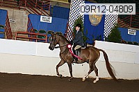 09r12-04809 proof