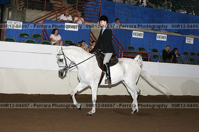 Proof 09r12-04697