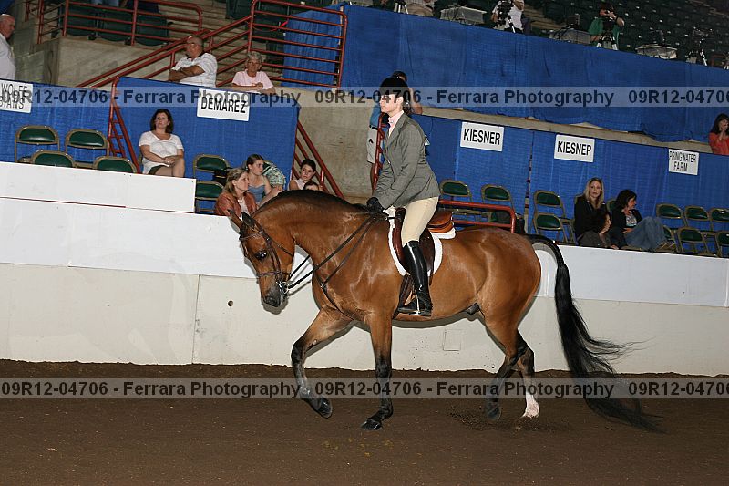Proof 09r12-04706