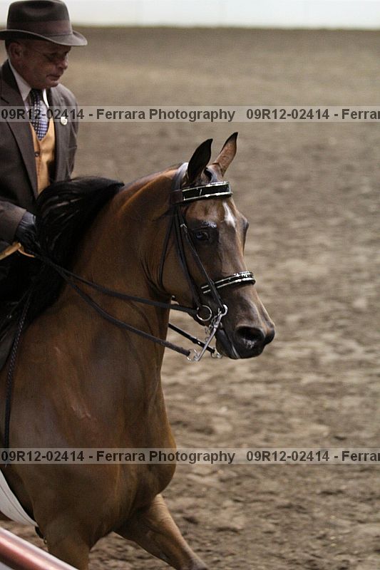 Proof 09r12-02414