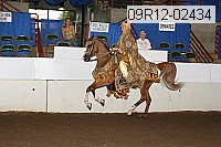 09r12-02434 proof
