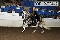 09r12-02442 proof