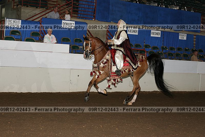 Proof 09r12-02443