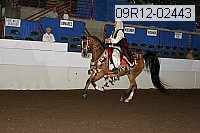 09r12-02443 proof
