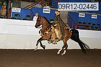 09r12-02446 proof