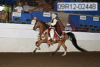 09r12-02448 proof