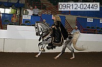 09r12-02449 proof