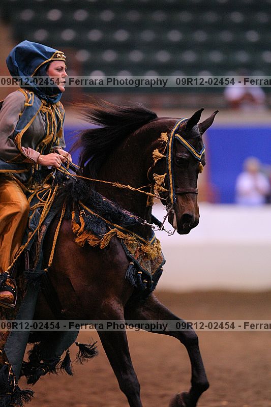 Proof 09r12-02454