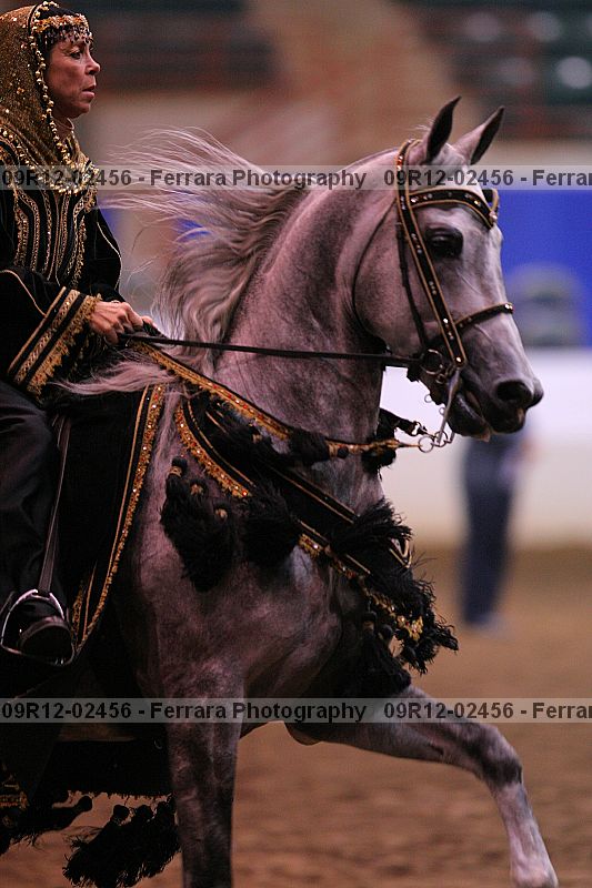 Proof 09r12-02456