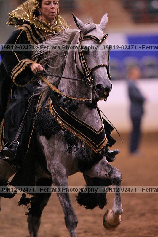 Proof 09r12-02471