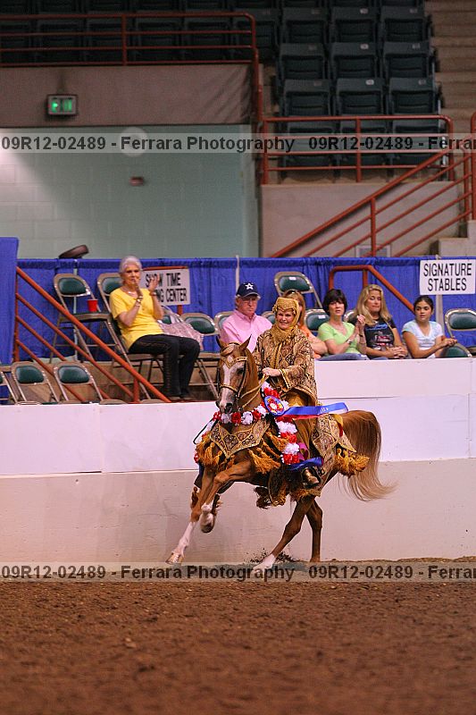 Proof 09r12-02489