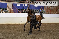 09r12-02528 proof