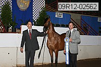 09r12-02562 proof