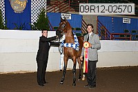 09r12-02570 proof
