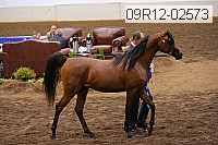 09r12-02573 proof
