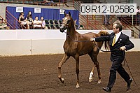 09r12-02586 proof