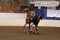 09r12-02592 proof
