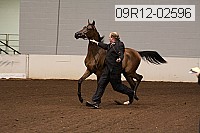 09r12-02596 proof