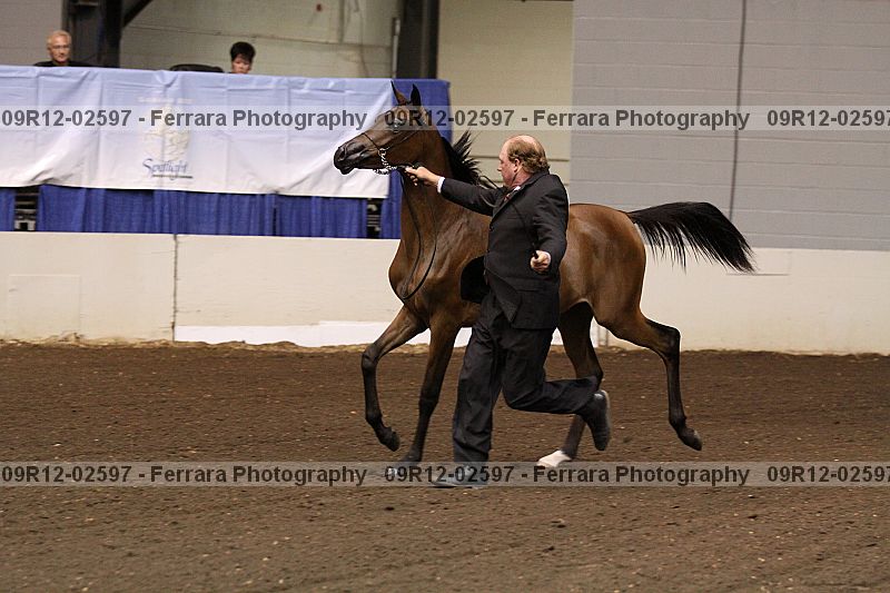 Proof 09r12-02597