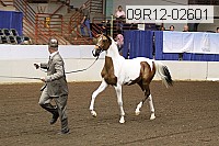 09r12-02601 proof